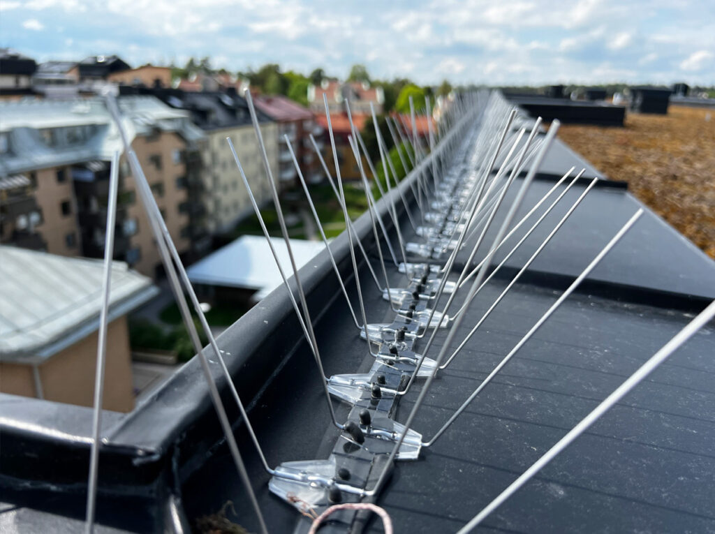 Fågelskydd uppe på tak